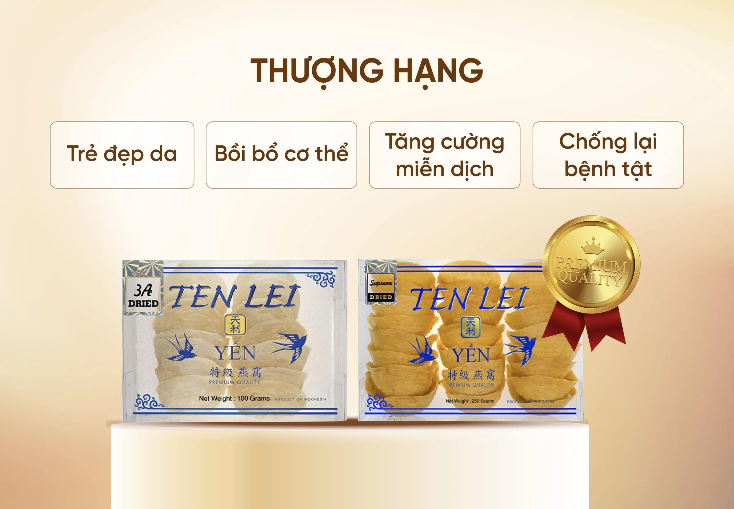 Yến khô thượng hạng - Thực phẩm vàng giúp bồi bổ sức khỏe và tăng cường miễn dịch
