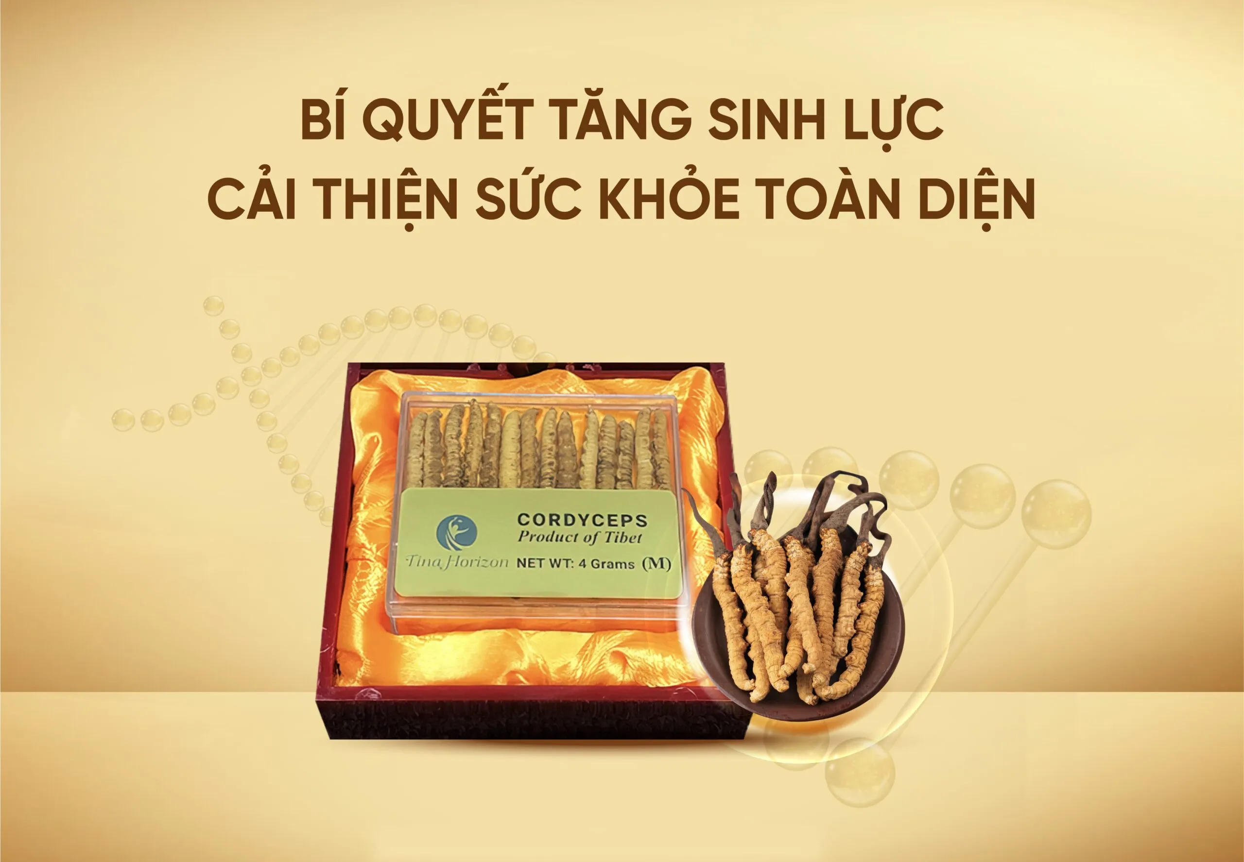 Đông trùng hạ thảo nguyên con: Bí quyết tăng sinh lực, cải thiện sức khỏe toàn diện