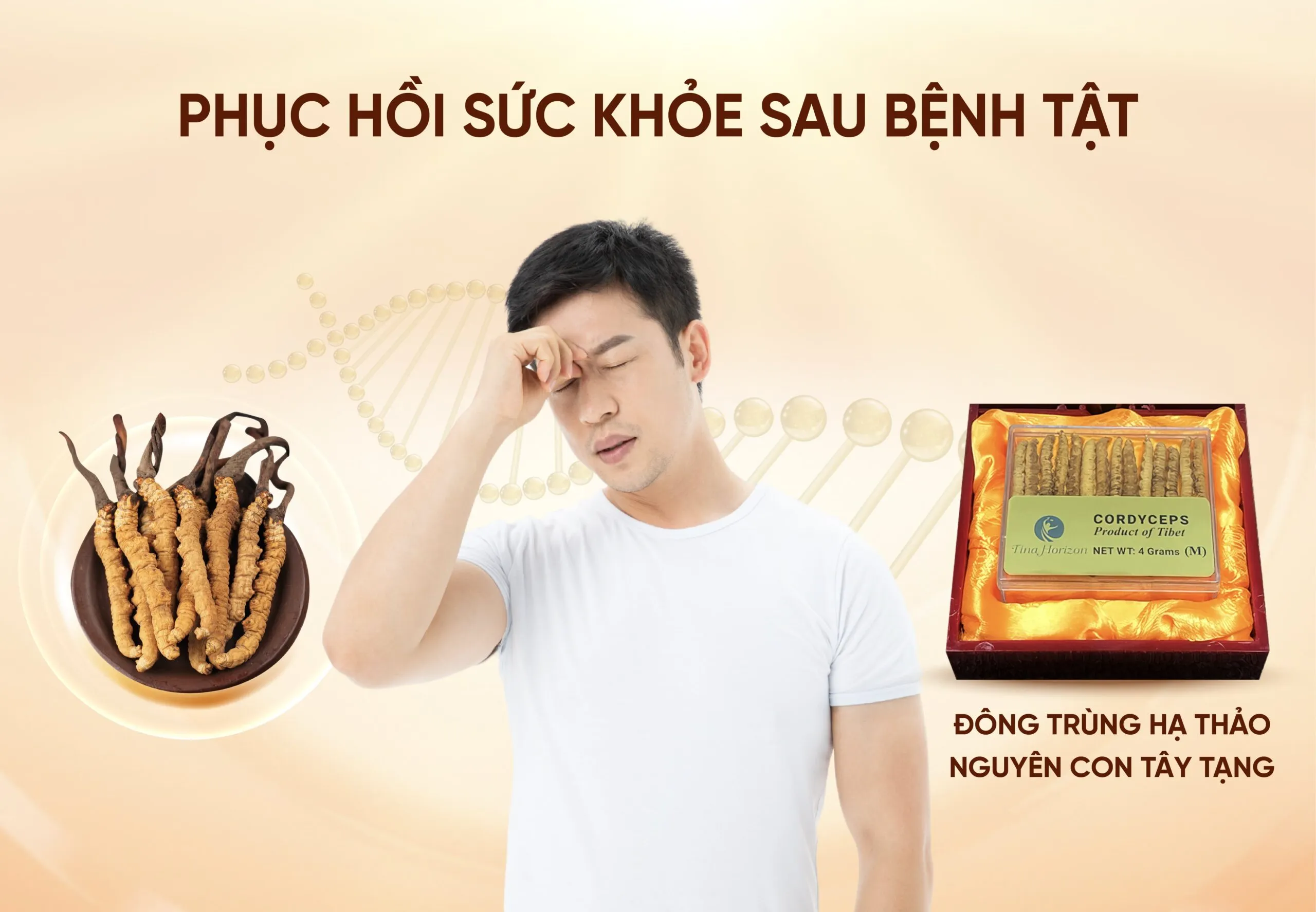 Đông trùng hạ thảo nguyên con giúp phục hồi hệ miễn dịch, tăng cường sức khỏe sau bệnh tật